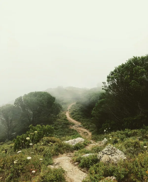 mountain path with clouds ahead